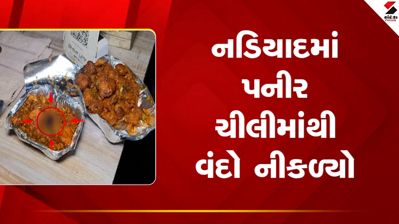 Kheda News : નડિયાદની રવિન્દ્ર નાનકિંગ હોટલમાંથી કમકમાટી છૂટે તેવું દૃશ્ય, પનીર ચીલીમાંથી આખો વંદો નીકળ્યો! Video
