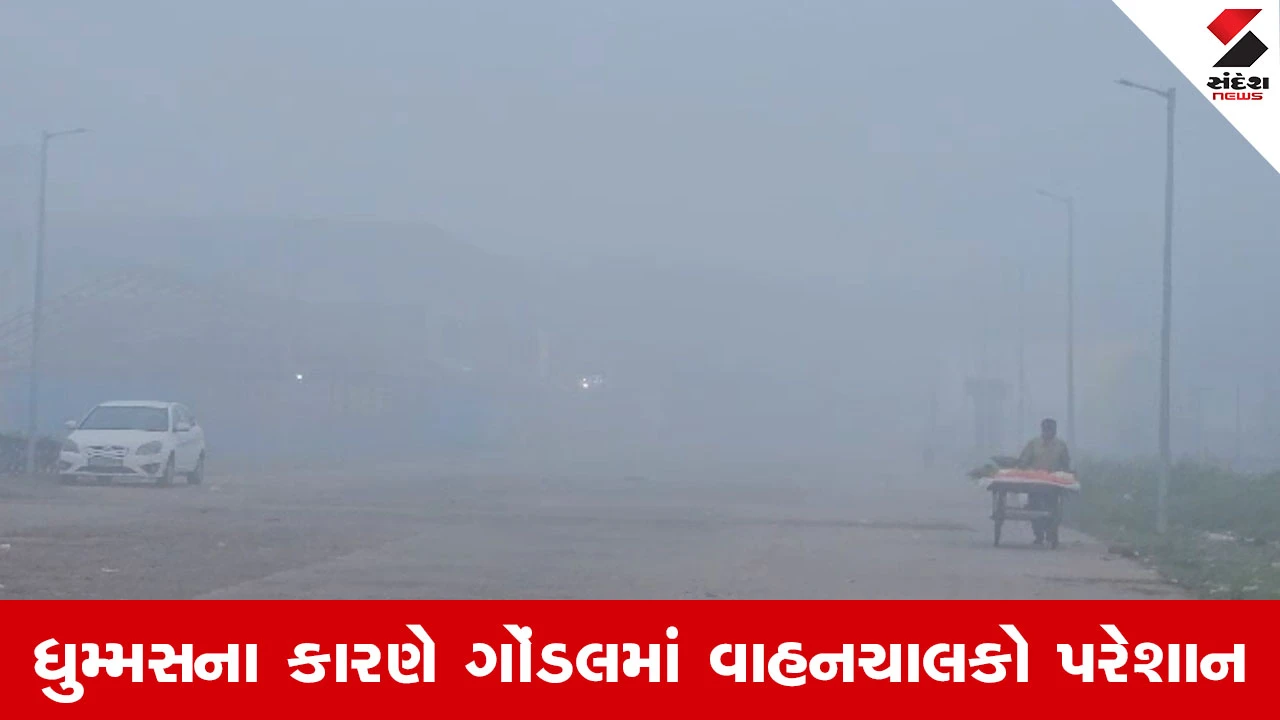 Rajkot News : ગોંડલમાં વહેલી સવારે 'હિલ સ્ટેશન' જેવો નજારો, ગાઢ ધુમ્મસથી વિઝિબિલિટી ઘટી