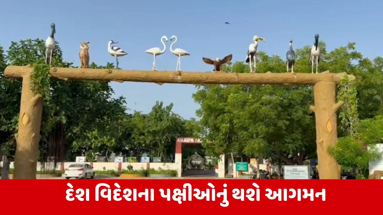 Jamnagar : ખીજડીયા પક્ષી અભયારણ્ય આજથી મુલાકાતીઓ માટે ખુલ્લું મુકાયું, ટુરિસ્ટોનું બુકીંગ ઓનલાઈન શરુ થયું