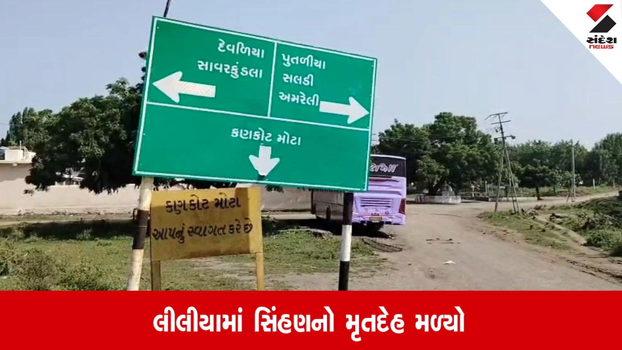 Amreli: લીલીયામાં સિંહણનું શંકાસ્પદ મૃત્યુ, વનવિભાગને કરંટથી મોત થયાની આશંકા