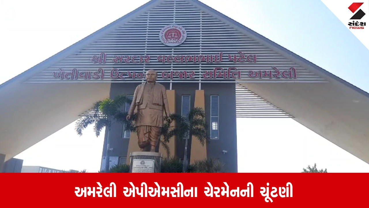 Amreli: APMC ને મળ્યા નવા ચેરમેન, ભાવિન સોજીત્રા બિનહરીફ ચૂંટાયા
