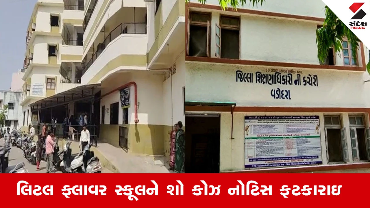Vadodara News : વડોદરાની લિટલ ફલાવર્સ સ્કૂલમાં વિધાર્થીઓ વચ્ચે મારામારીના કેસમાં DEOએ સ્કૂલને ફટકારી શો કોઝ નોટિસ
