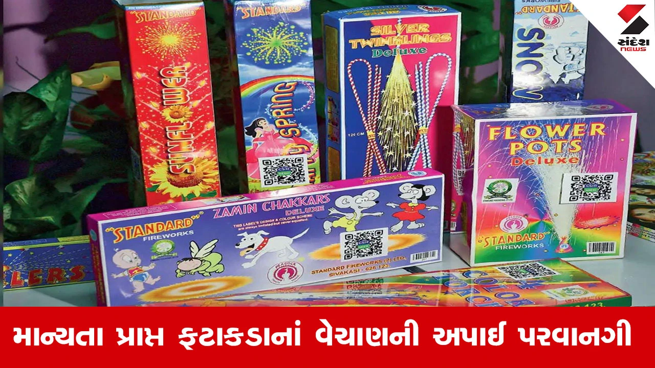 Surendranagar News : વિદેશી ફટાકડાના વેચાણ-આયાત પર પ્રતિબંધ, ફટાકડાનું વેચાણ માત્ર લાયસન્સધારક વેપારીઓ જ નિયમ મુજબ કરી શકશે