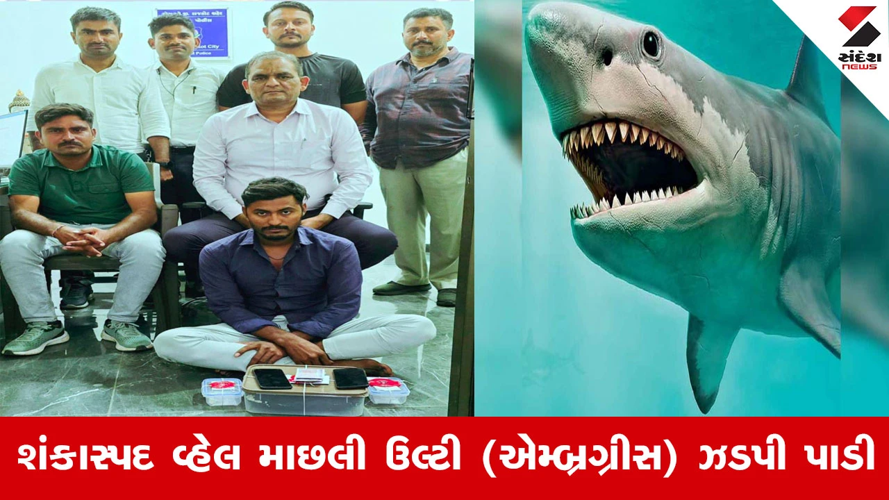 Rajkot News : રાજકોટ SOG પોલીસે 50 લાખનું "સમુદ્રી સોનું" ઝડપી પાડી એક શખ્સની કરી અટકાયત