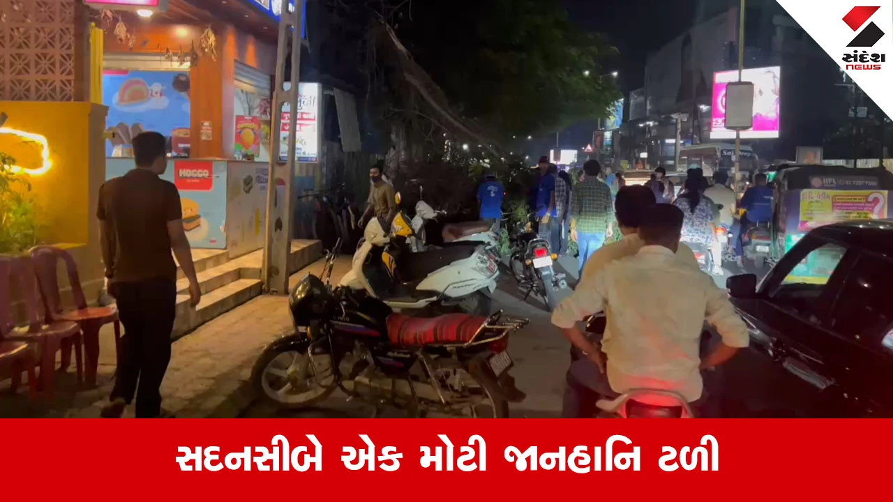 Rajkotના રેસકોર્સ રિંગ રોડ પર મહાકાય વૃક્ષ ધરાશાયી થતાં 6 વાહનો દબાયા
