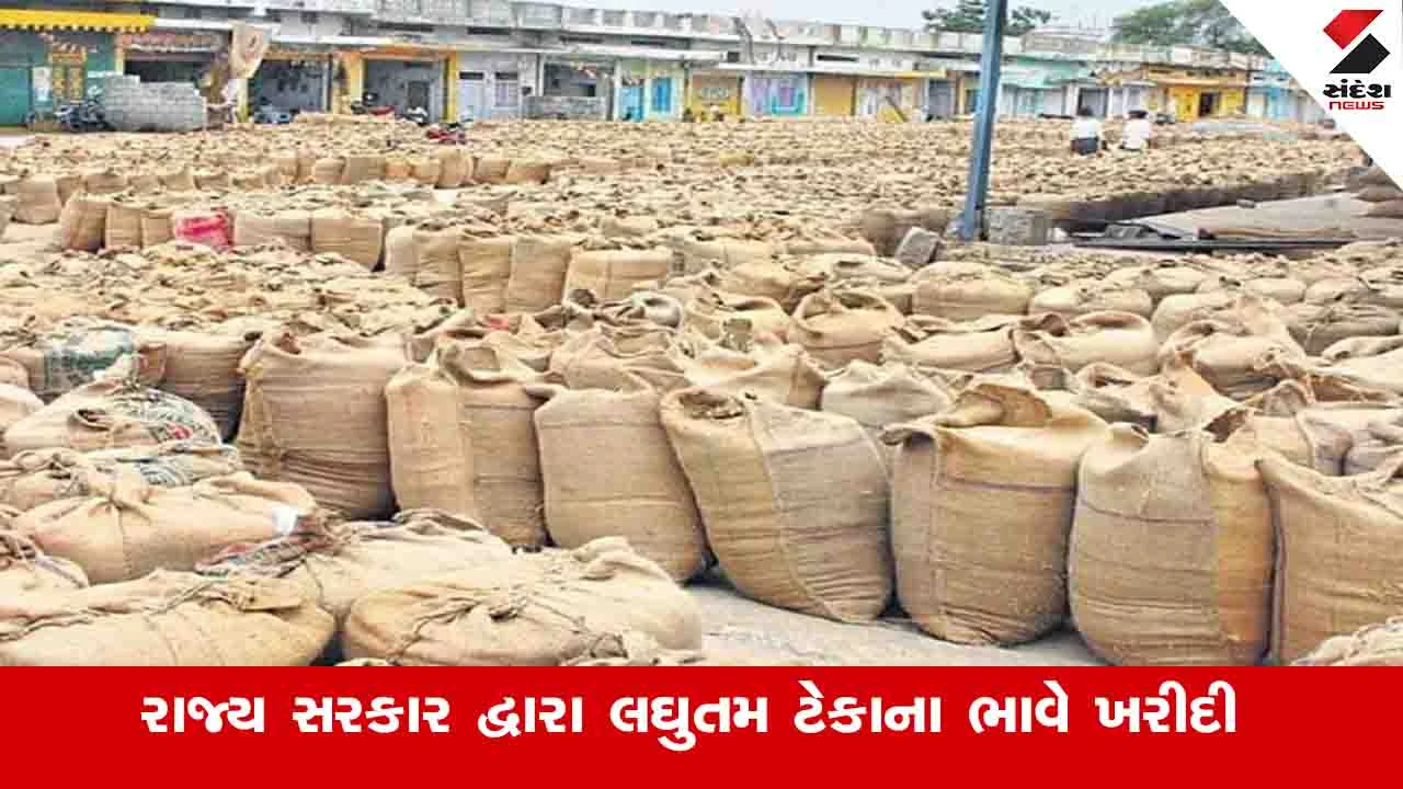 Agriculture News: ખેડૂતો પાસેથી લઘુતમ ટેકાના ભાવે ડાંગર,મકાઈ,બાજરી,જુવાર અને રાગીની સરકાર દ્વારા સીધી ખરીદી કરાશે
