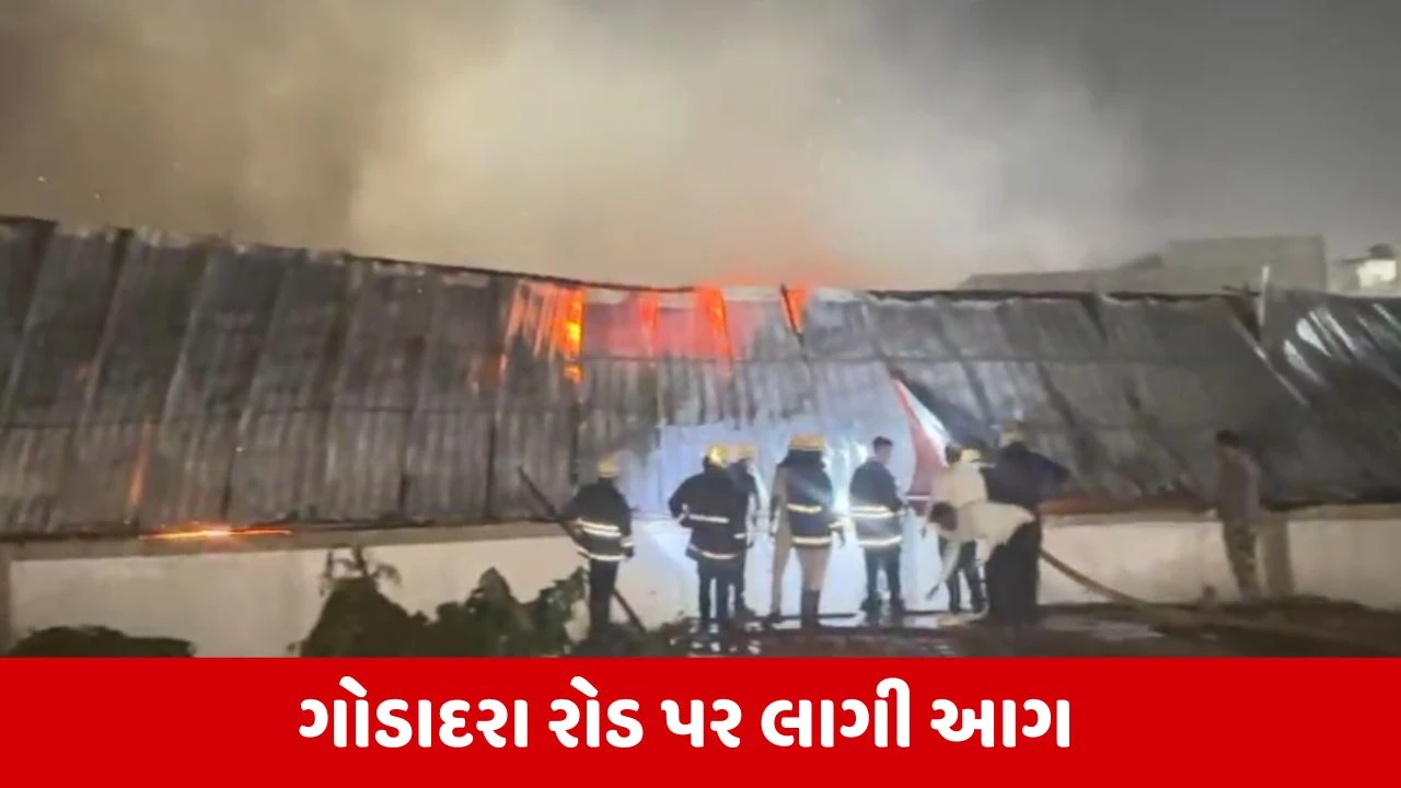 Surat News : પુણા ગોડાદરા રોડ પર લાગી ભીષણ આગ, ફાયર વિભાગે મેજર કોલ કર્યો જાહેર