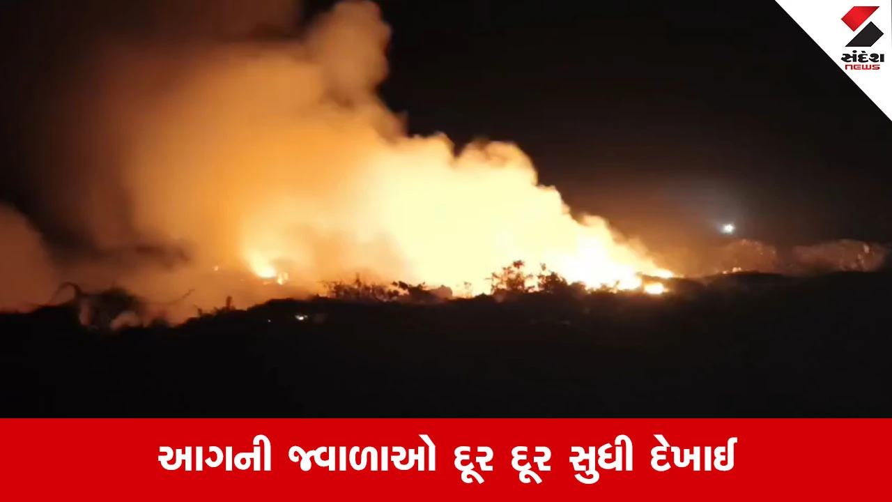 Dwarka News: જામખંભાળિયાની ડમ્પિંગ સાઇટ પર લાગી વિકરાળ આગ, ફાયર વિભાગે કાબૂ મેળવવાના પ્રયાસો હાથ ધર્યા