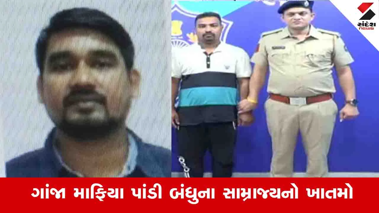 Surat News: ગુજરાતનો મોસ્ટ વોન્ટેડ ગાંજા માફિયા જેલ ભેગો કરાયો, અનિલ પાંડીએ ઓરિસ્સાની કોર્ટમાં સરેન્ડર કર્યું