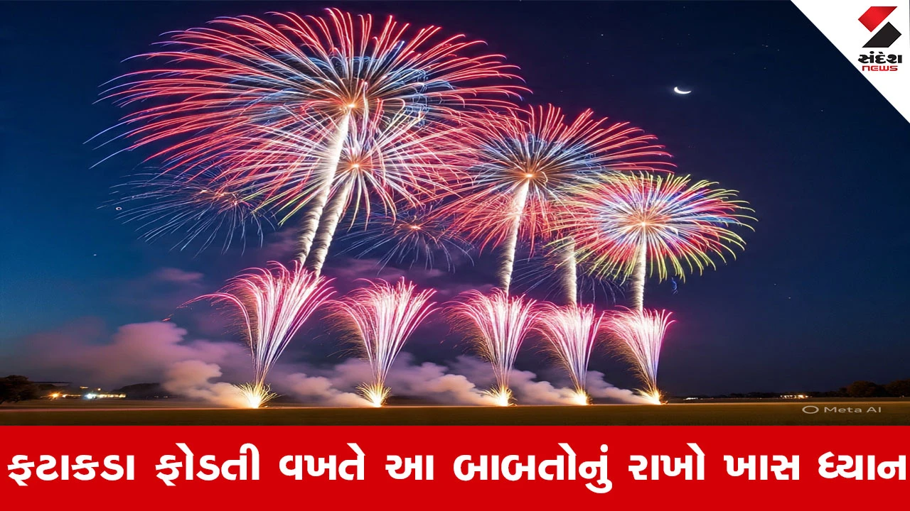 Botad News : દિવાળીના તહેવારોમાં ફટાકડા ફોડતી વખતે આ બાબતોનું રાખો ખાસ ધ્યાન, વાંચો Inside Story