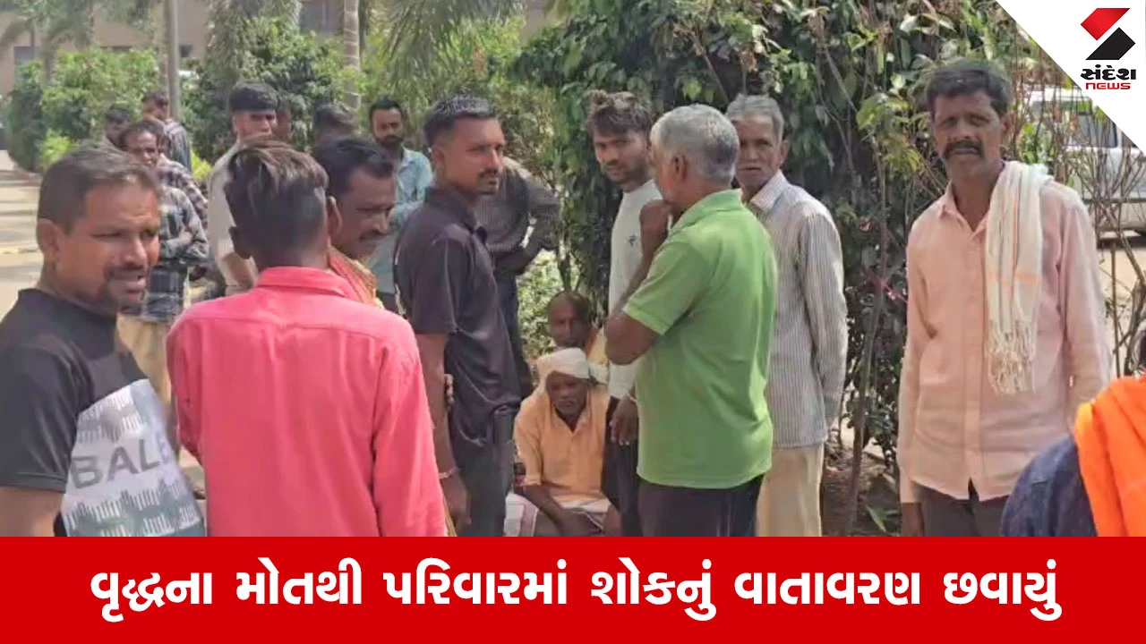 Dahodના વરમખેડા ગામે ઘરકામ દરમિયાન સાપ કરડવાથી 70 વર્ષીય વૃદ્ધ મહિલાનું મોત