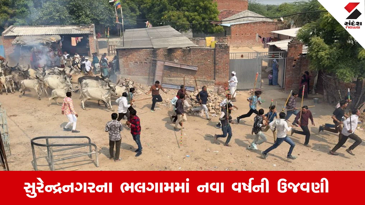 Surendranagar News : સુરેન્દ્રનગરના ભલગામમાં રજવાડા સમયની પરંપરા હજુ પણ યથાવત, ફટાકડા ફોડી ગાયોને ઉશ્કેરી ગોવાળ પાછળ દોડાવી