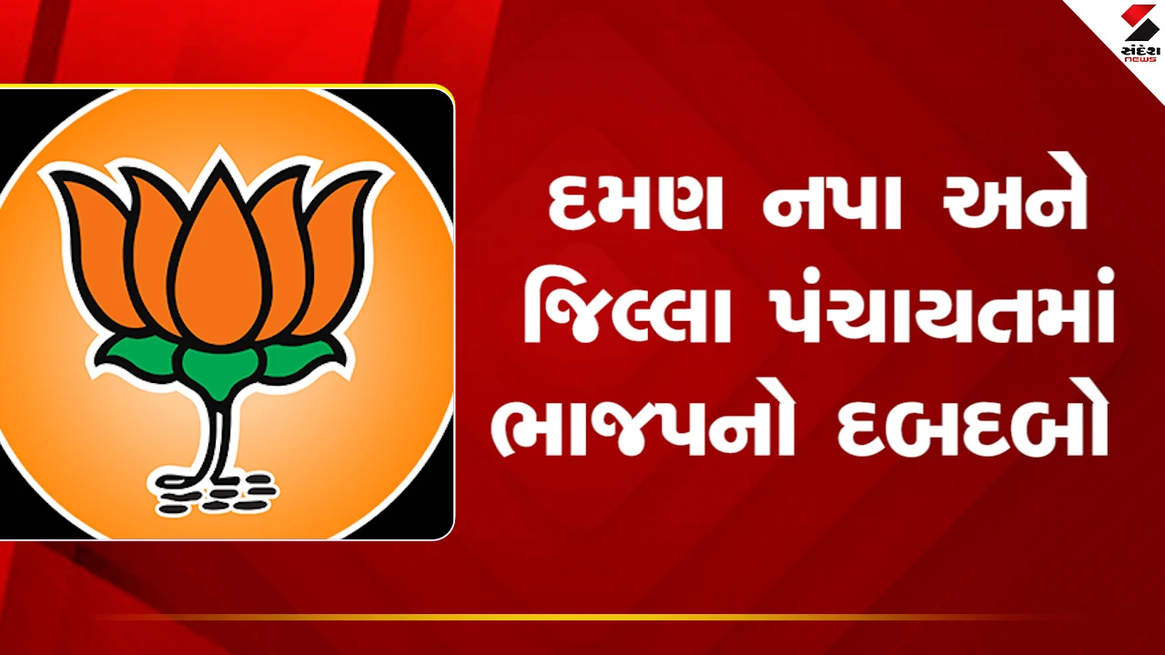 Gujarat News: દમણ નપા અને જિલ્લા પંચાયતમાં ભાજપનો દબદબો