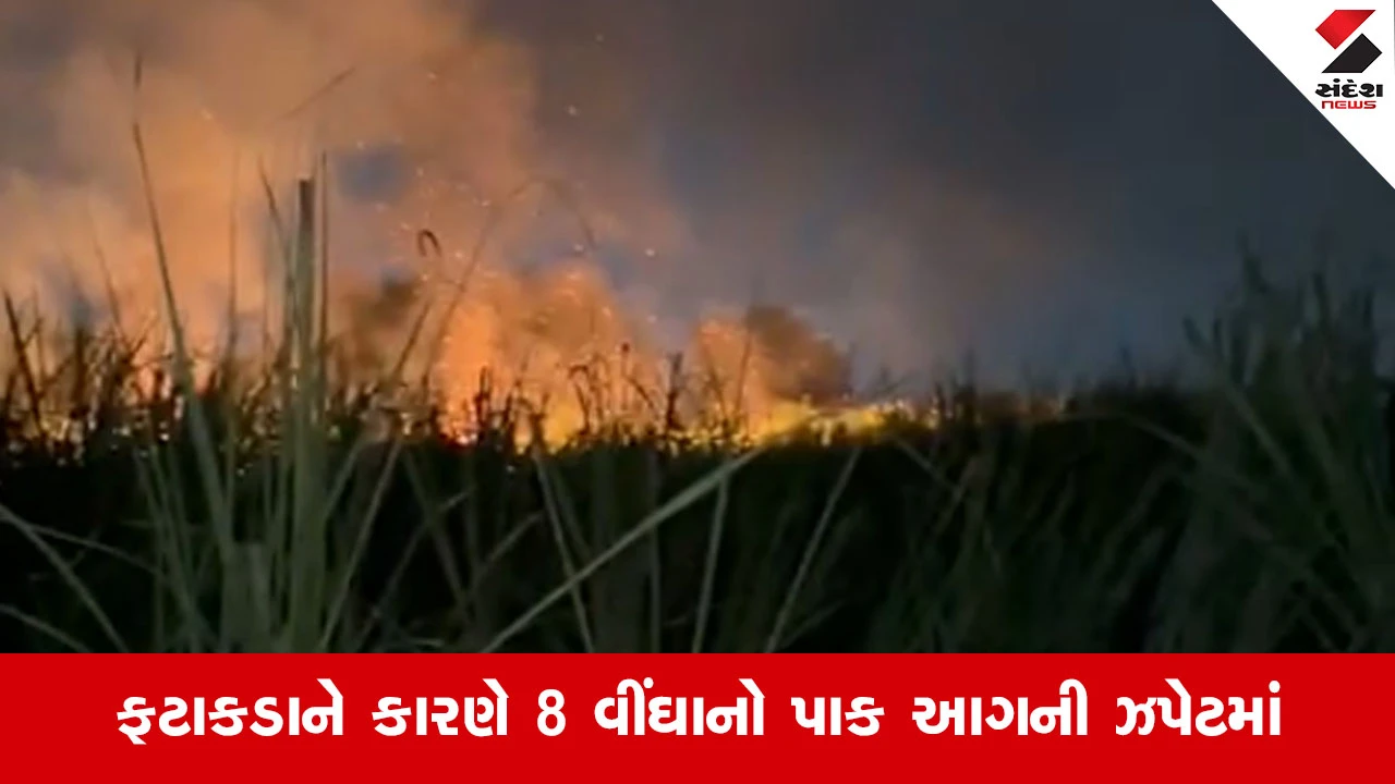 Suratના કામરેજમાં વાવ ગામ નજીક શેરડીના ખેતરમાં લાગી ભીષણ આગ, ખેડૂતને થયું લાખોનું નુકસાન