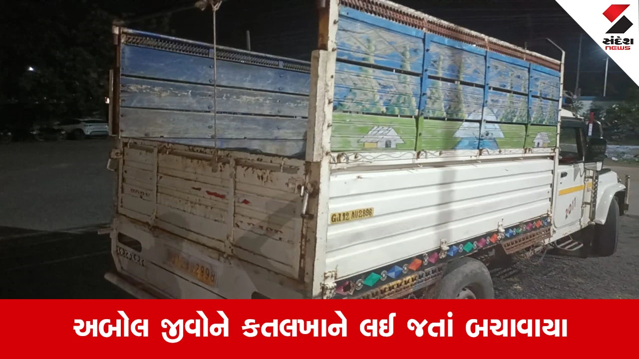 Surendranagarના થાન નજીક ગૌરક્ષકોની સફળ કામગીરી, કતલખાને લઈ જવાતા 10 અબોલ પશુઓને બચાવાયા