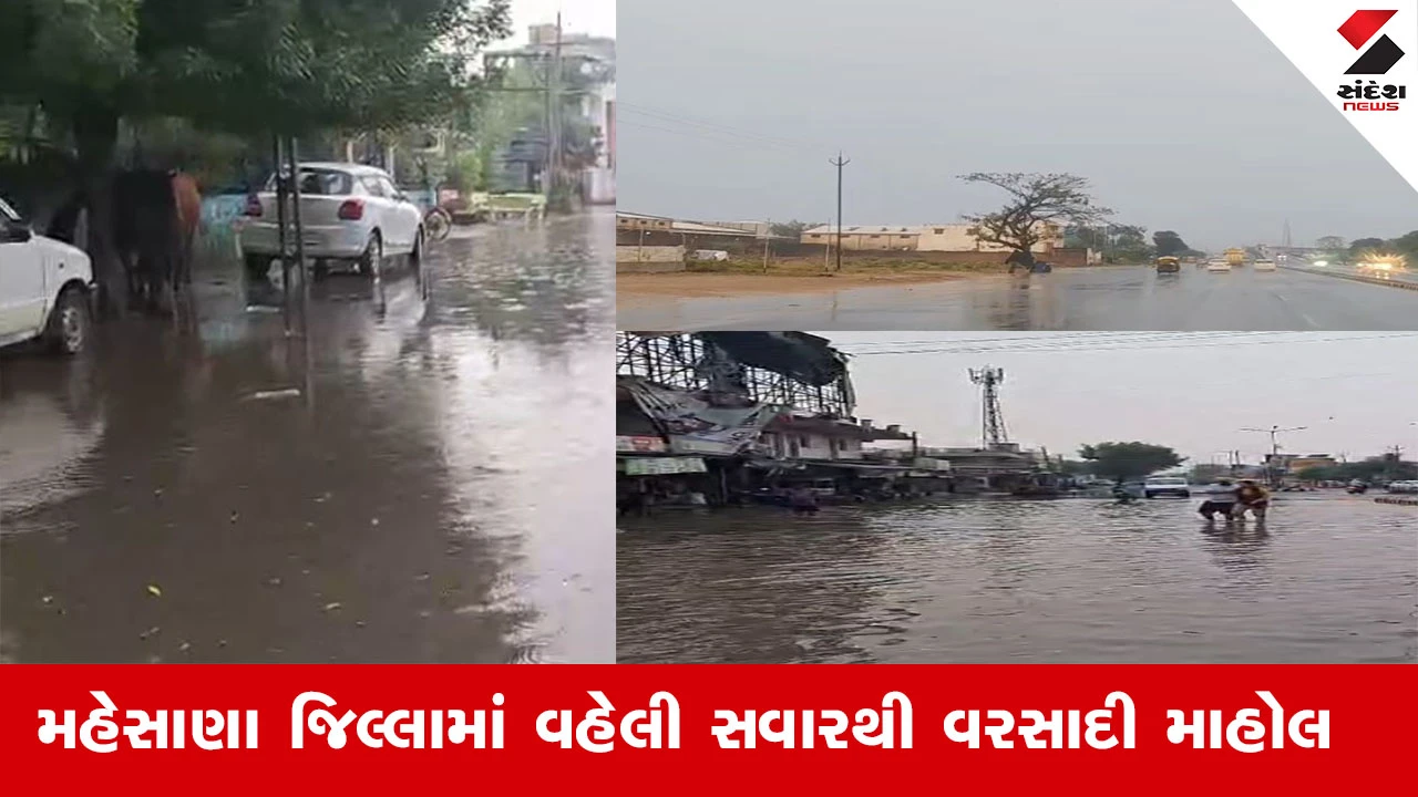 Mehsana Rain News : મહેસાણાના ઊંઝા પંથકમાં વહેલી સવારથી વરસાદી માહોલ, નીચાણવાળા વિસ્તારમાં ભરાયા પાણી