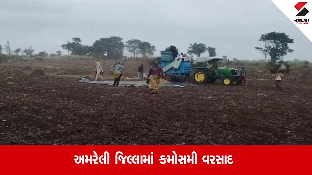 Amreli: દરિયા કાંઠાના વિસ્તારો સહિત ગ્રામ્ય પંથકમાં કમોસમી વરસાદ, ખેડૂતોમાં ચિંતાનું મોજું ફરી વળ્યું