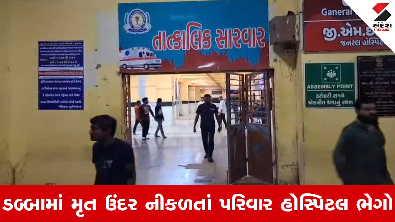 Junagadh માં ભયાનક ઘટના, ખાદ્યતેલના ડબ્બામાંથી નીકળ્યો મરેલો ઉંદર, 3 લોકોને ઝેરી અસર