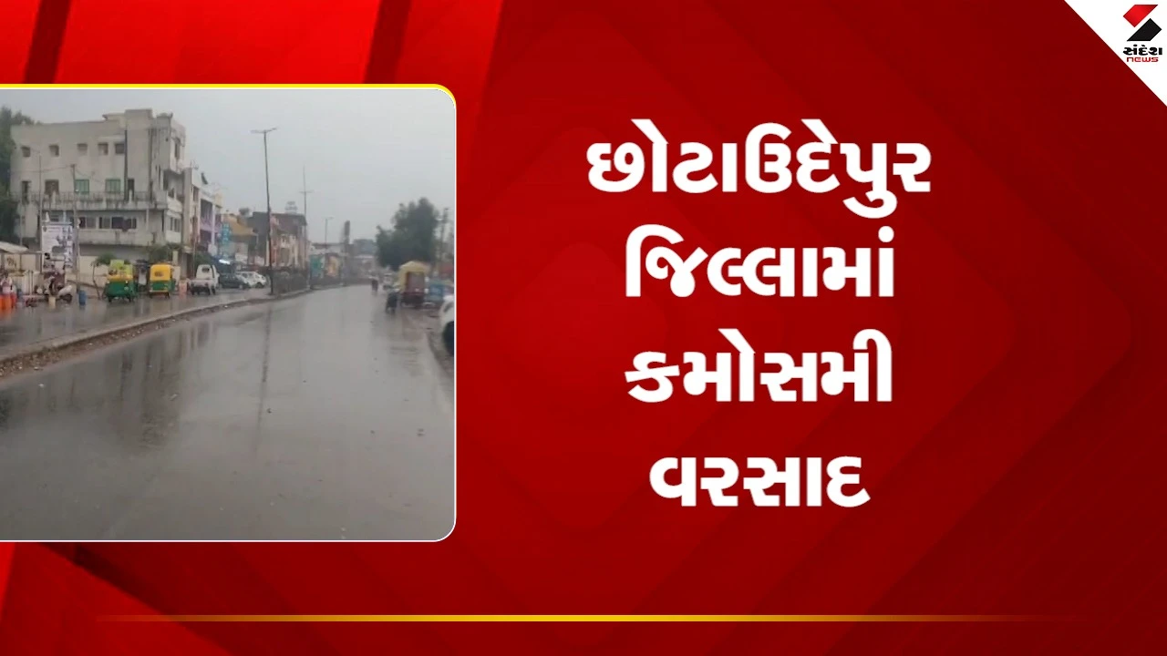 Chhota Udepur જિલ્લામાં કમોસમી વરસાદ ખાબકયો, ખેડૂતોના પાકને મોટુ નુકસાન, જુઓ Video