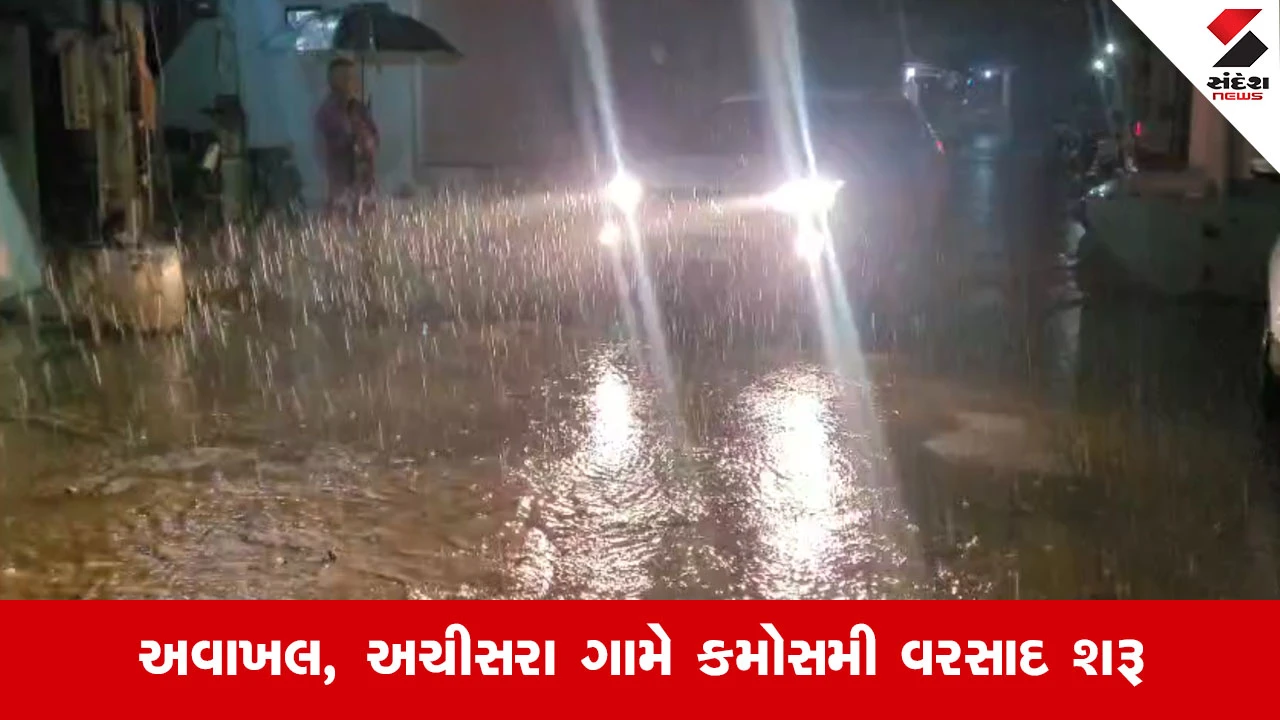 Vadodaraના શિનોર પંથકમાં મોડી રાત્રે કમોસમી વરસાદ જામ્યો, ગરમીના ઉકળાટમાંથી લોકોને મળી રાહત