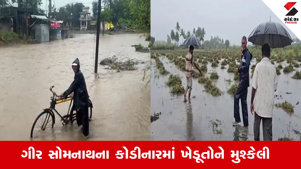 Gir Somnath Rain News : ગીર સોમનાથના કોડીનારમાં 24 કલાકમાં 4 ઈંચથી વધુ વરસાદ, ખેતરો બન્યા દરિયો