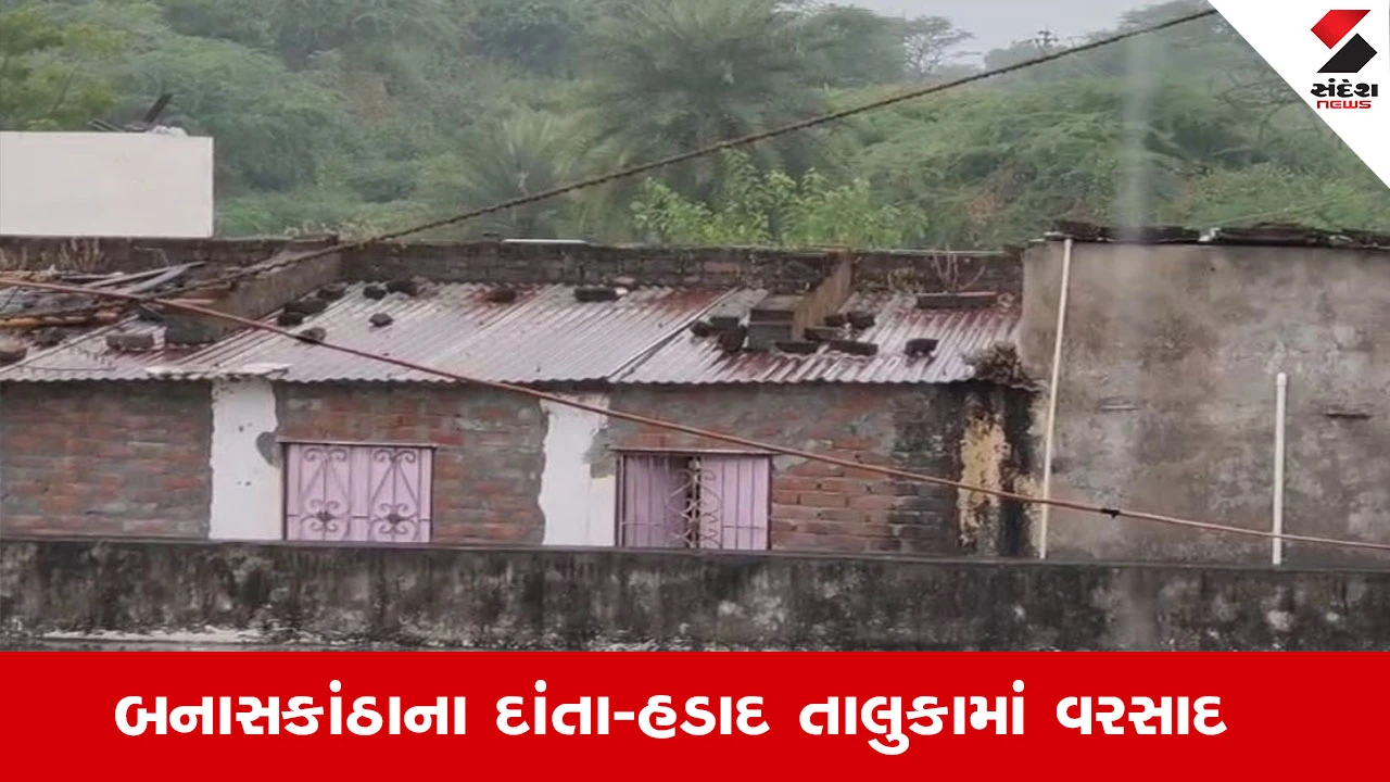 Banaskantha Rain News : બનાસકાંઠા જિલ્લામાં મોડી રાતથી કમોસમી વરસાદ, કપાસ અને બાજરીના પાકને નુકસાનની સંભાવના