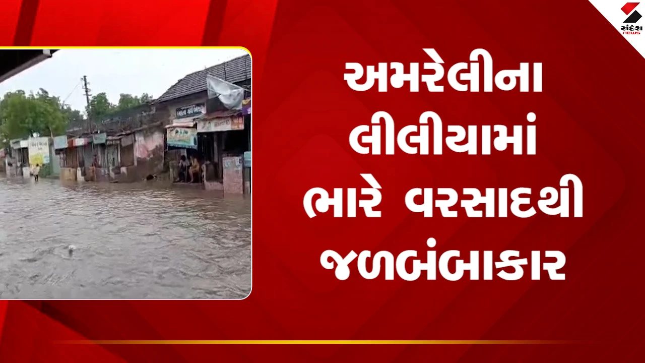 Amreliના લીલીયામાં ભારે વરસાદથી જળબંબાકાર, નાવલી બજારમાં નદી વહેતી હોય તેવા દ્રશ્યો, જુઓ Video