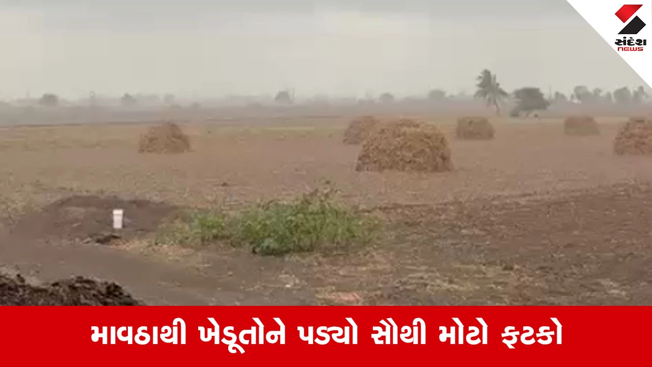 Dwarkaના કલ્યાણપુર પંથકમાં તોફાની પવન સાથે કમોસમી વરસાદ, ખેડૂતોને વ્યાપક નુકસાન વેઠવાનો આવ્યો વારો