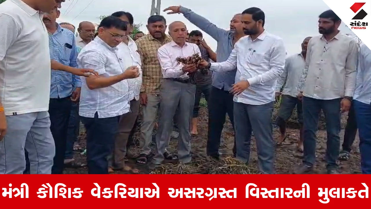 Amreli માં કમોસમી વરસાદથી થયેલા નુકસાનનો તાગ, મંત્રી કૌશિક વેકરિયા અસરગ્રસ્ત વિસ્તારની મુલાકાત લીધી...
