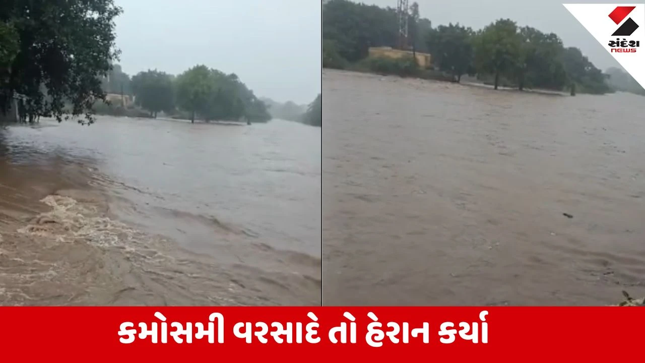 Bhavnagar : વીતેલા 24 કલાકથી અનરાધાર કમોસમી વરસાદ, ગ્રામ્ય વિસ્તારમાં વરસાદથી ઘોડાપૂરની સ્થિતિ