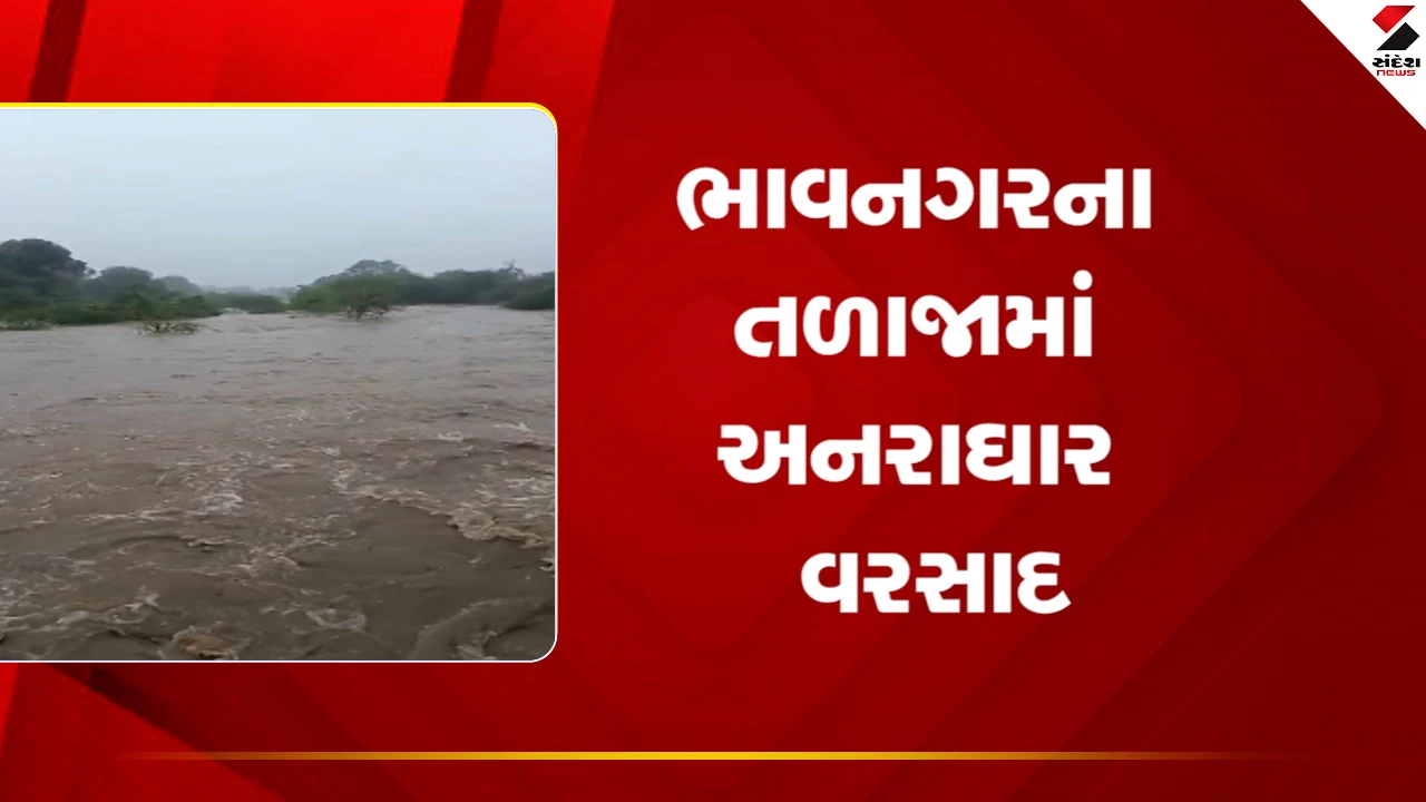 Bhavnagar Rain News : ભાવનગરના તળાજામાં 4 ઈંચ વરસાદ, ચાર દિવસના કમોસમી વરસાદથી અનેક વિસ્તારો જળબંબાકાર, જુઓ Video