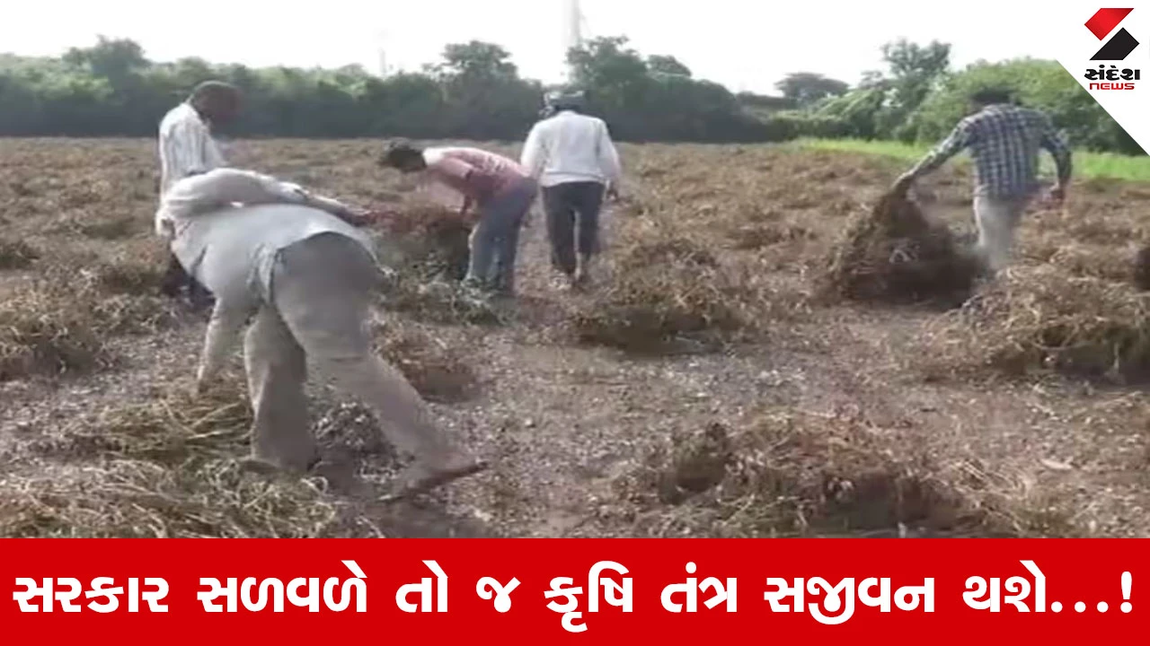 Unseasonal Rain In Gujarat : ખેડૂતોનો મોલ પાણીમાં અને આંખનું પાણી ભરપૂર, સંવેદનશીલ સરકાર પાસે માગી રહી છે સંજીવની