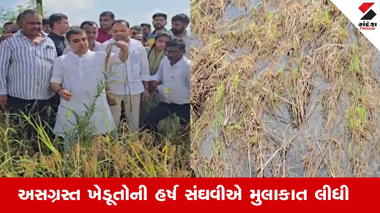 Surat News : ઓલપાડના ખેડૂતોની આર્થિક પાક નુકસાનીનો નાયબ મુખ્યમંત્રીએ મેળવ્યો તાગ, હર્ષ સંઘવીએ ખેતરમાં ખુલ્લા પગે કર્યો સરવે