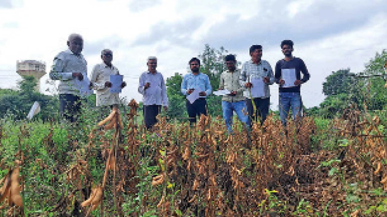 Godhra:પંચમહાલમાં માવઠાથી ઊભા પાકનો સોથ વળી ગયો