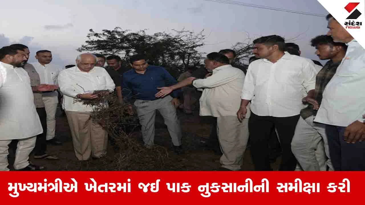 Gujarat News: મુખ્યમંત્રીએ ગીર સોમનાથ અને જૂનાગઢ જિલ્લાના ગામોમાં પાક નુકસાની સ્થળનું નિરીક્ષણ કર્યું