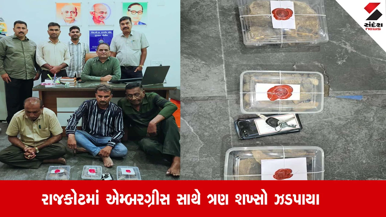 રાજકોટ: SOG દ્વારા 2.97 કરોડના એમ્બરગ્રીસ સાથે 3 શખ્સો ઝડપાયા, 'વ્હેલની ઉલટી'નો ગેરકાયદેસર વેપાર પર્દાફાશ.