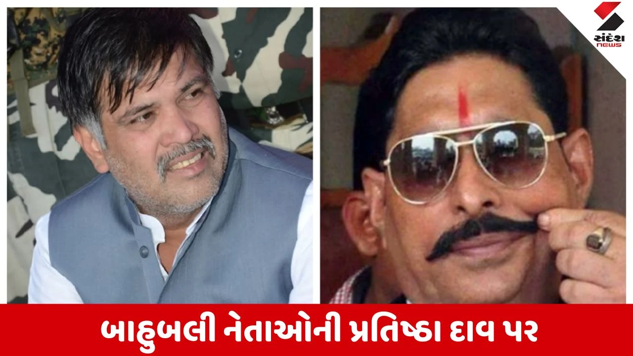 Bihar Phase 1 Election: બિહારમાં બાહુબલીઓ વચ્ચે જંગ, અડધો ડઝન બાહુબલીઓની પ્રતિષ્ઠા દાવ પર.