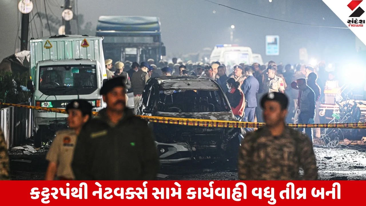 દિલ્હી બ્લાસ્ટ: NIAને શંકા છે કે એમોનિયમ નાઈટ્રેટ ગુજરાતથી સપ્લાય થયું, વિસ્ફોટકોના સ્ત્રોત માટે તપાસ શરૂ.