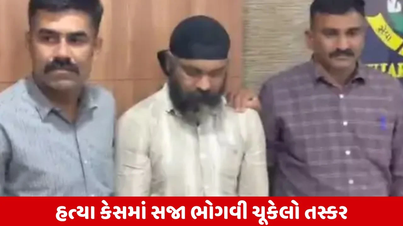 Aravalli : હત્યા કેસમાં સજા ભોગવી ચૂકેલો રીઢો તસ્કર ઝડપાયો