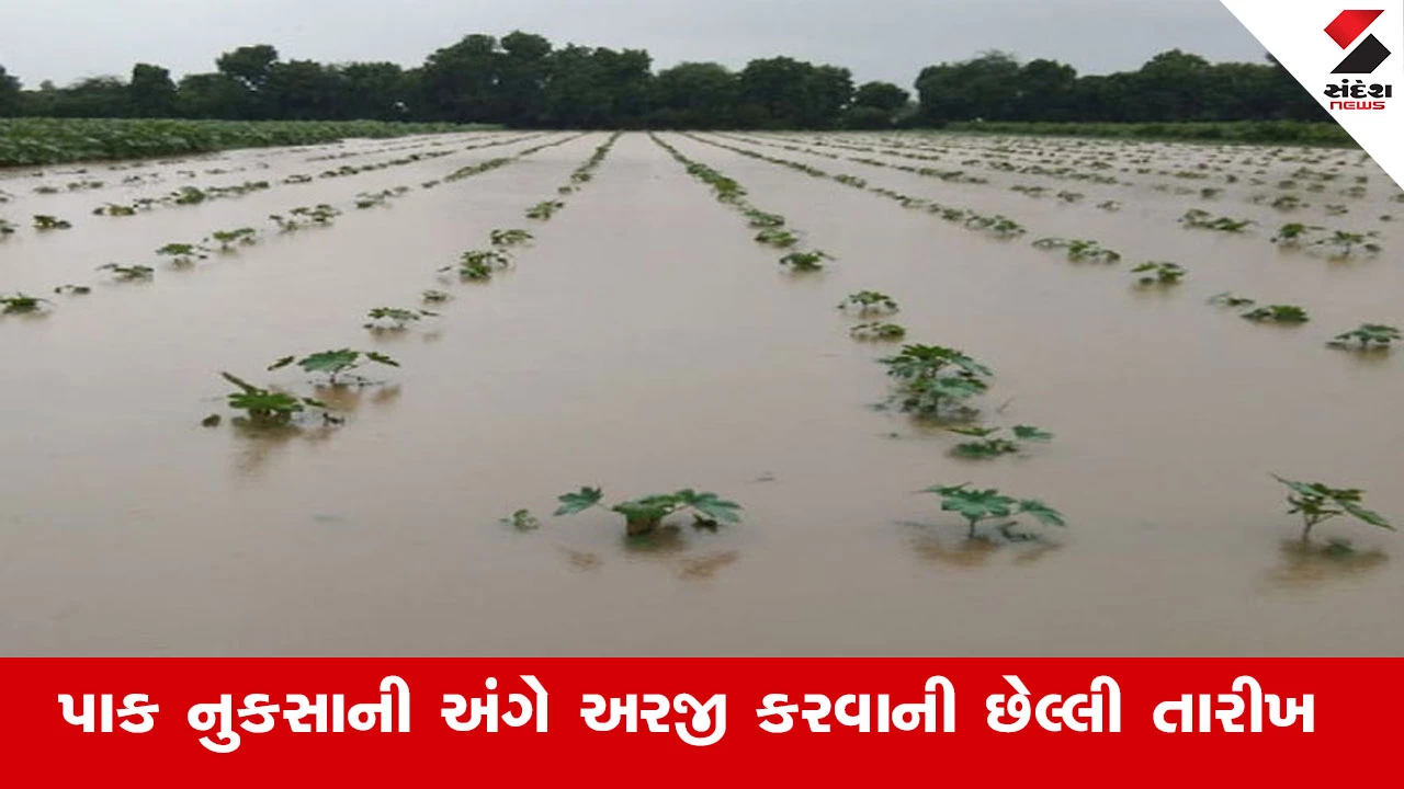 પાક નુકસાની અરજીની છેલ્લી તારીખ ૨૮ નવેમ્બર, બાકી રહેતા ખેડૂતો આજે રાત્રે ૧૨ વાગ્યા સુધી અરજી કરો.