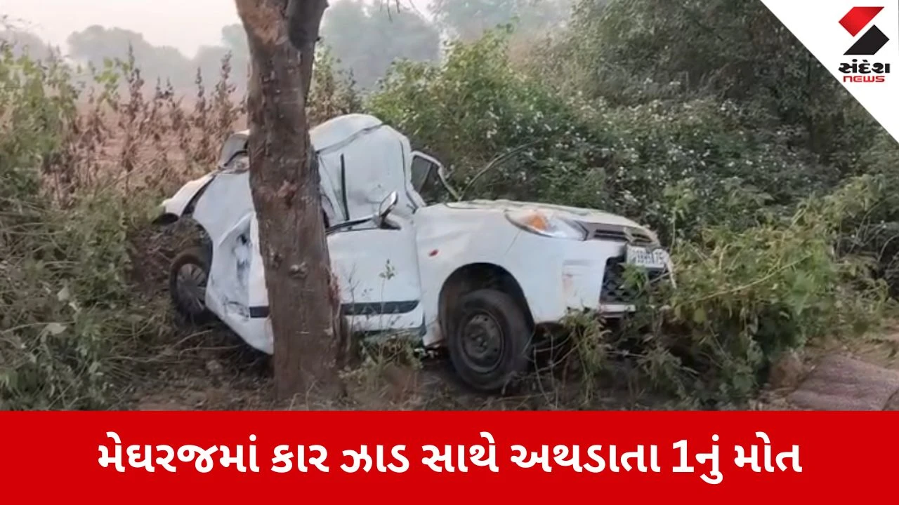 Aravalli: મેઘરજમાં ગમખ્વાર અકસ્માત, કાર ઝાડ સાથે અથડાતા આધેડનું કરુણ મોત