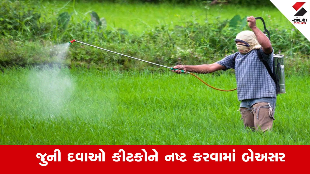 જંતુનાશકોનું વધતું જોખમ, આરોગ્ય અને પર્યાવરણ પર હુમલો; Natural Farming એક અસરકારક વિકલ્પ.