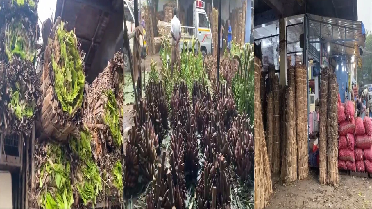 તમિલનાડુ કારતક દીપમ ફેસ્ટિવલની તૂત્તુકુડી માર્કેટમાં ભવ્ય તૈયારીઓ