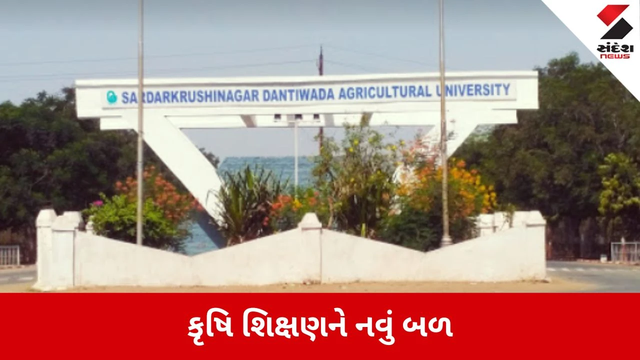 Banaskantha: દાંતીવાડા કૃષિ યુનિવર્સિટીમાં 268 શૈક્ષણિક જગ્યાઓ માટે નિમણૂક પત્રો અપાયા