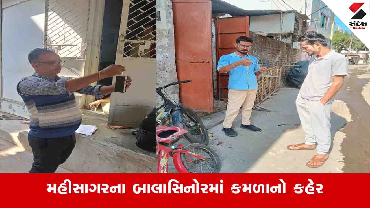 મહીસાગરના બાલાસિનોરમાં કમળાના 126 કેસ નોંધાયા, આરોગ્ય વિભાગની દોડધામ! 26 સોસાયટીઓમાં રોગચાળો ફેલાયો.