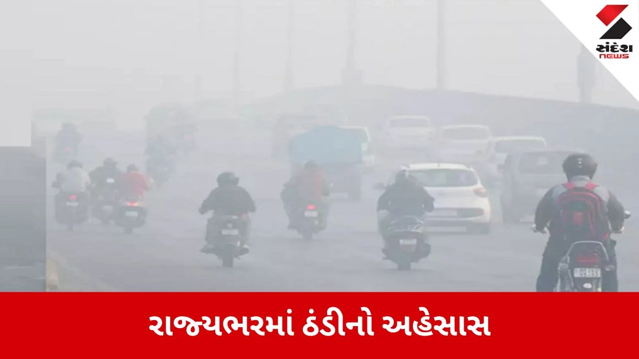 અમદાવાદ: નલિયા 9.8 ડિગ્રી સાથે ઠંડું, વેસ્ટર્ન ડિસ્ટર્બન્સથી ગરમીનો અહેસાસ.