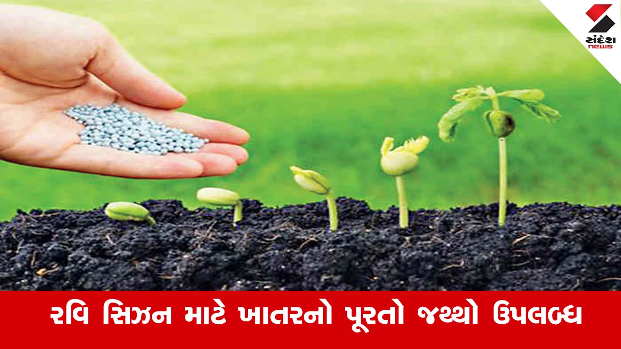 સુરેન્દ્રનગર જિલ્લામાં રવિ સિઝન માટે ખાતરનો પૂરતો જથ્થો ઉપલબ્ધ