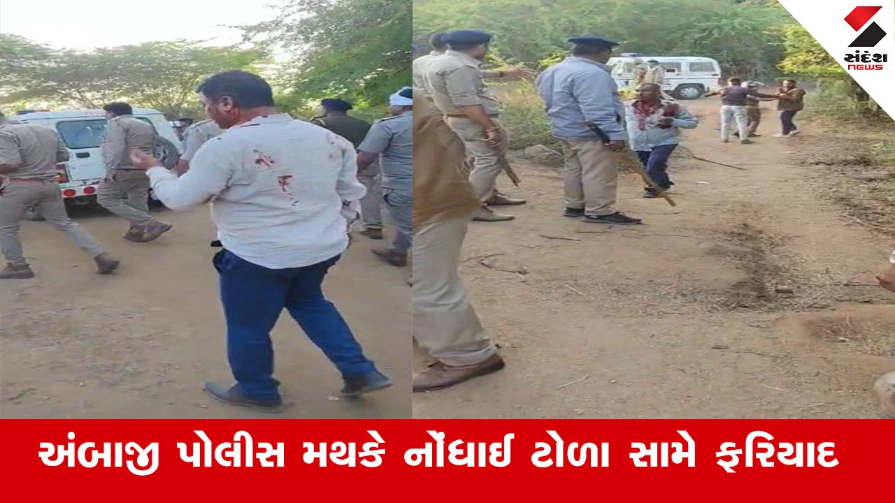 અંબાજીમાં પોલીસ અને વન વિભાગની ટીમ પર હુમલામાં 500 લોકો સામે FIR નોંધાઈ.