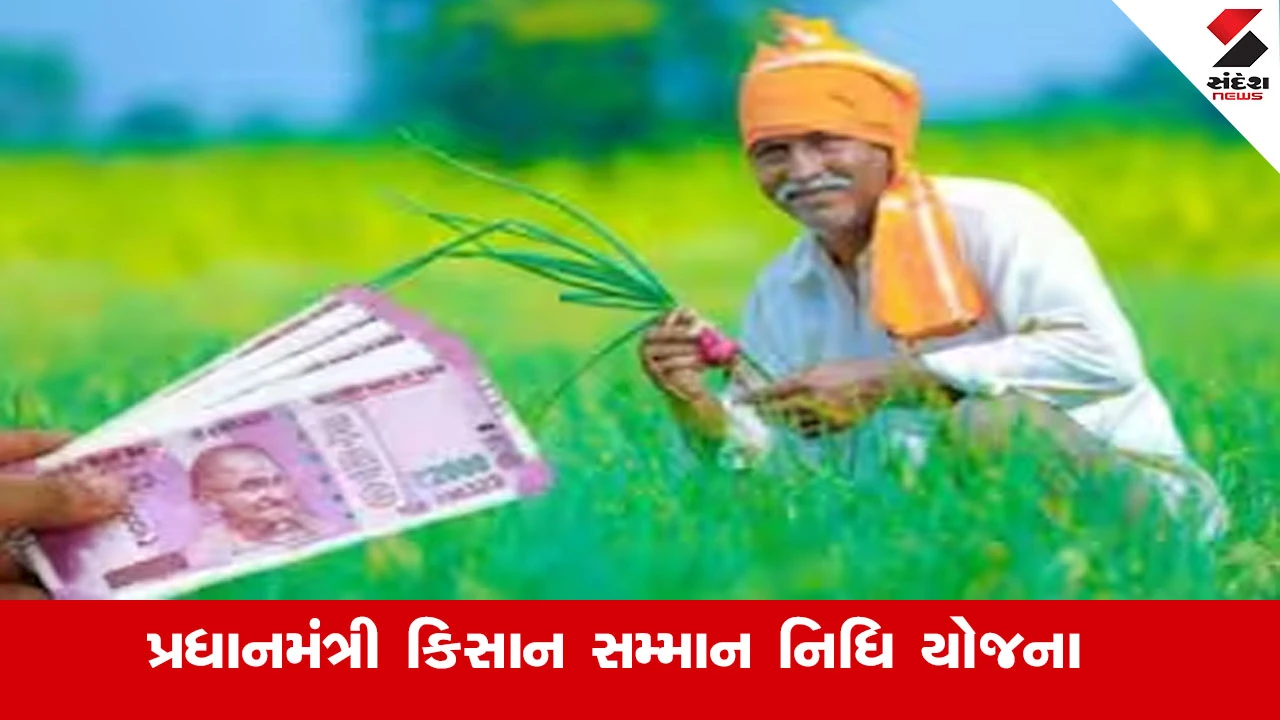 જિલ્લાના ખેડૂતો માટે ‘યુનિક ફાર્મર આઈડી’ ફરજિયાત અને PM-KISAN ના 22મા હપ્તા માટે રજીસ્ટ્રેશન જરૂરી.