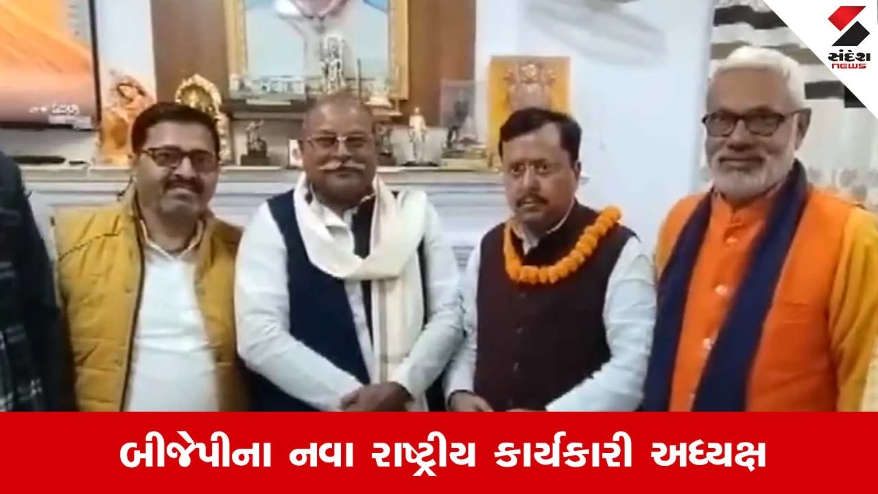 બીજેપીના રાષ્ટ્રીય કાર્યકારી અધ્યક્ષ નીતિન નવીનની સંપત્તિ અને નાણાકીય સ્થિતિ વિશે માહિતી.